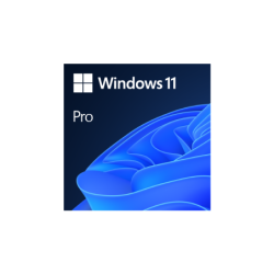 WINDOWS 11 PRO 64GB OEM 1PK ESPAÑOL FISICO (S/DVD)